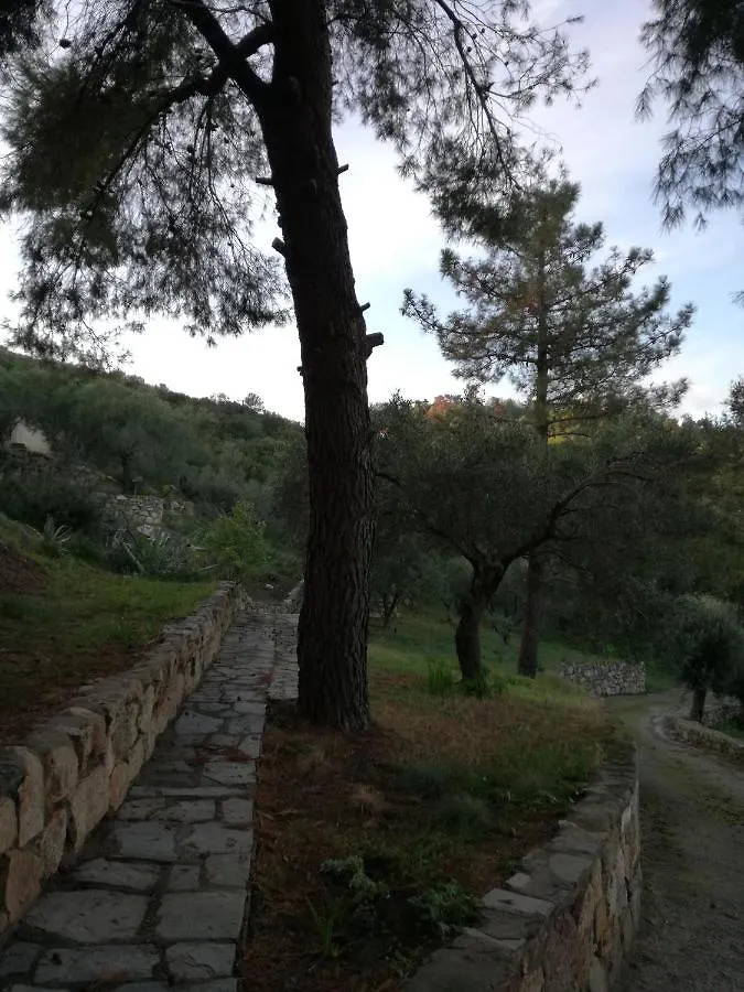 Villa Haris Sarti Tatil Evi