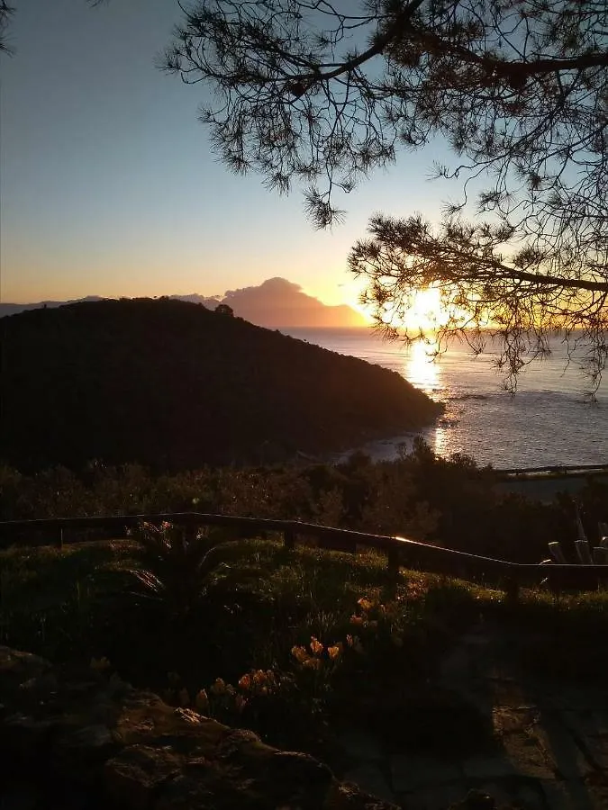 Villa Haris Sarti